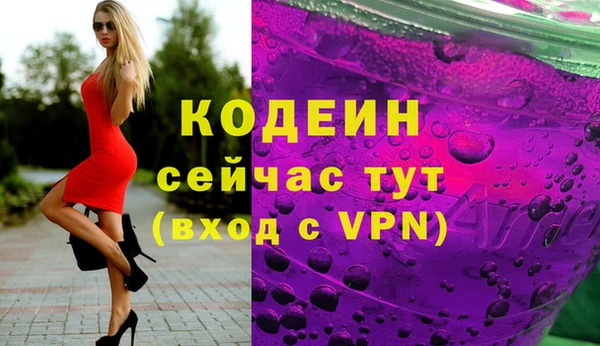 шишки Гусь-Хрустальный