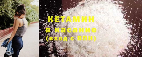 шишки Гусь-Хрустальный