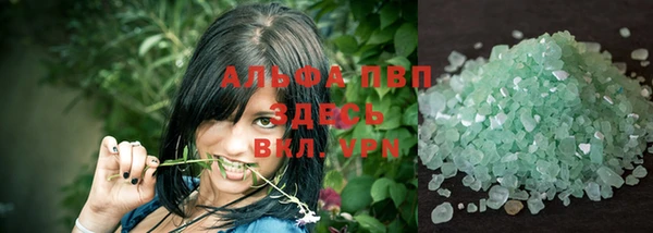 шишки Гусь-Хрустальный