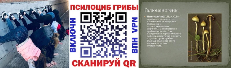 Псилоцибиновые грибы ЛСД  Сухой Лог 