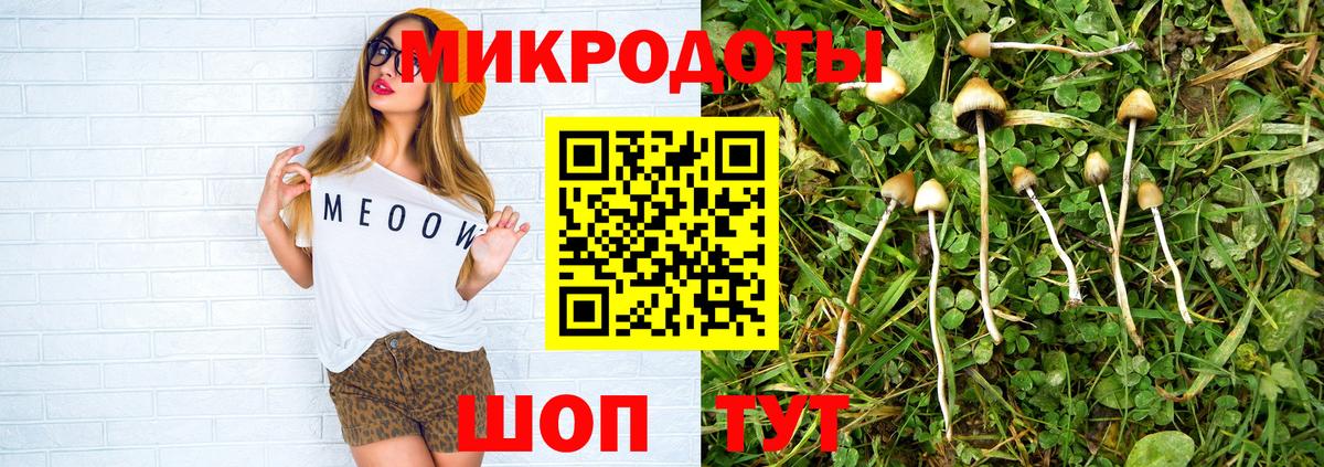 Галлюциногенные грибы GOLDEN TEACHER Сухой Лог