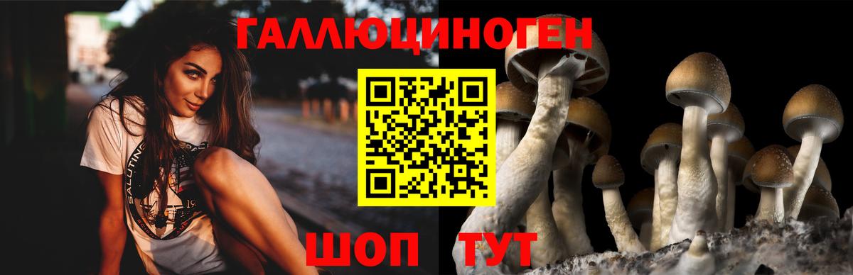 Псилоцибиновые грибы GOLDEN TEACHER  Галлюциногенные грибы MAGIC MUSHROOMS  Вход с VPN  Сухой Лог 